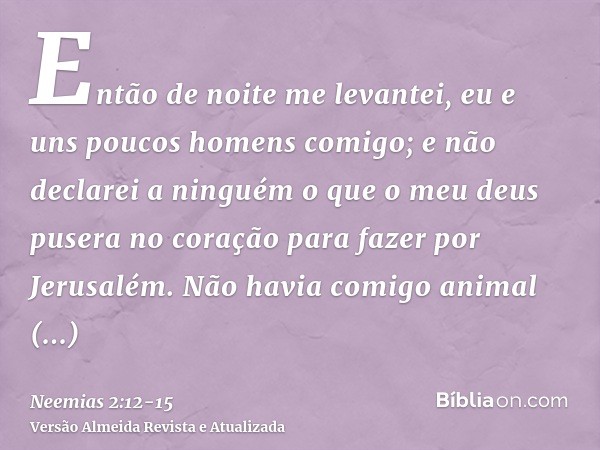 Então de noite me levantei, eu e uns poucos homens comigo; e não declarei a ninguém o que o meu deus pusera no coração para fazer por Jerusalém. Não havia comig