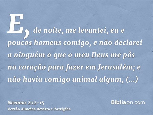 E, de noite, me levantei, eu e poucos homens comigo, e não declarei a ninguém o que o meu Deus me pôs no coração para fazer em Jerusalém; e não havia comigo ani
