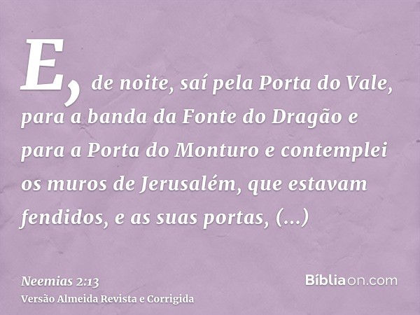 E, de noite, saí pela Porta do Vale, para a banda da Fonte do Dragão e para a Porta do Monturo e contemplei os muros de Jerusalém, que estavam fendidos, e as su
