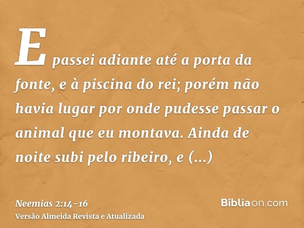 E passei adiante até a porta da fonte, e à piscina do rei; porém não havia lugar por onde pudesse passar o animal que eu montava.Ainda de noite subi pelo ribeir