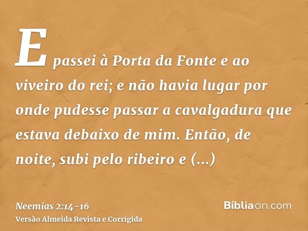 E passei à Porta da Fonte e ao viveiro do rei; e não havia lugar por onde pudesse passar a cavalgadura que estava debaixo de mim.Então, de noite, subi pelo ribe