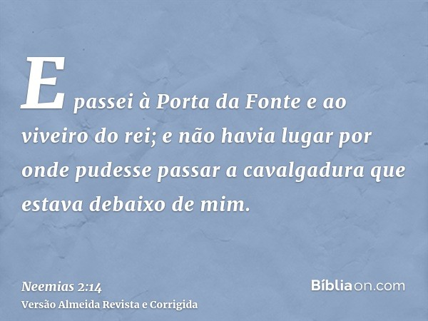 E passei à Porta da Fonte e ao viveiro do rei; e não havia lugar por onde pudesse passar a cavalgadura que estava debaixo de mim.
