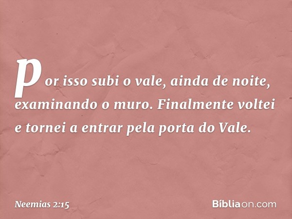 por isso subi o vale, ainda de noite, examinando o muro. Finalmente voltei e tornei a entrar pela porta do Vale. -- Neemias 2:15