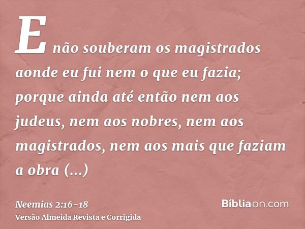 E não souberam os magistrados aonde eu fui nem o que eu fazia; porque ainda até então nem aos judeus, nem aos nobres, nem aos magistrados, nem aos mais que fazi