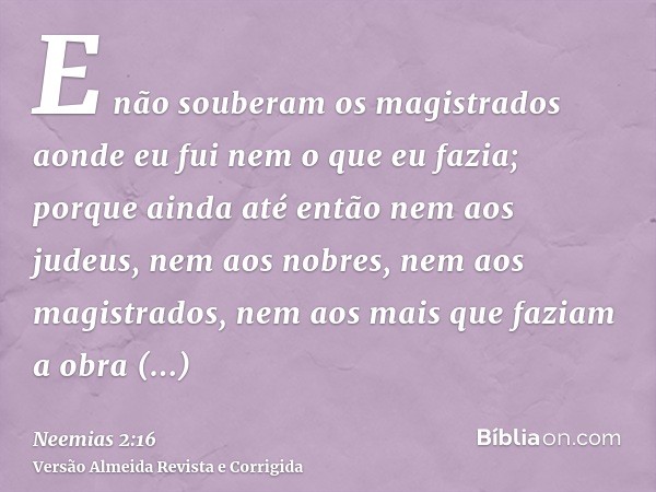 E não souberam os magistrados aonde eu fui nem o que eu fazia; porque ainda até então nem aos judeus, nem aos nobres, nem aos magistrados, nem aos mais que fazi