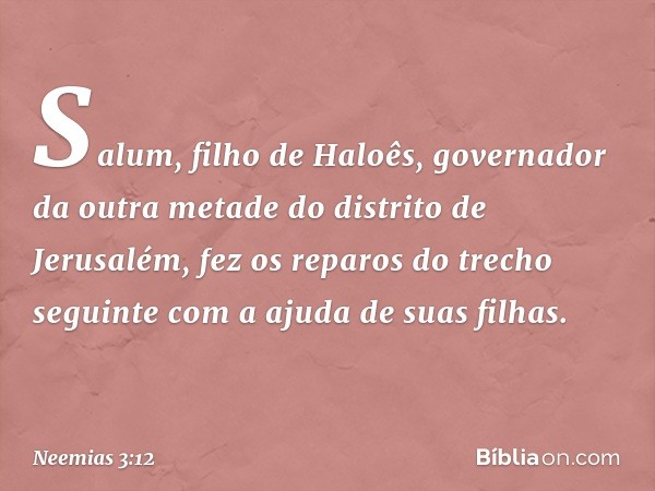 Salum, filho de Haloês, governador da outra metade do distrito de Jerusalém, fez os repa­ros do trecho seguinte com a ajuda de suas filhas. -- Neemias 3:12