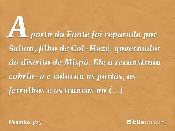 A porta da Fonte foi reparada por Salum, filho de Col-Hozé, governador do distrito de Mispá. Ele a reconstruiu, cobriu-a e colocou as portas, os ferrolhos e as 