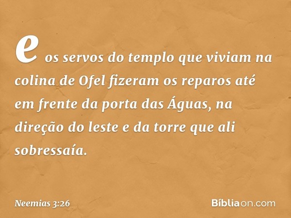 e os servos do tem­plo que viviam na colina de Ofel fizeram os reparos até em frente da porta das Águas, na direção do leste e da torre que ali sobressaía. -- N