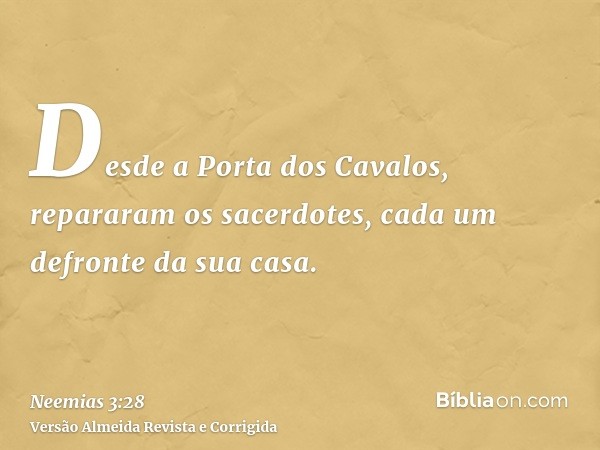Desde a Porta dos Cavalos, repararam os sacerdotes, cada um defronte da sua casa.