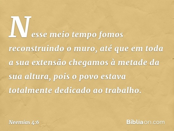 Nesse meio tempo fomos reconstruin­do o muro, até que em toda a sua extensão chegamos à metade da sua altura, pois o povo estava totalmente dedicado ao trabalho