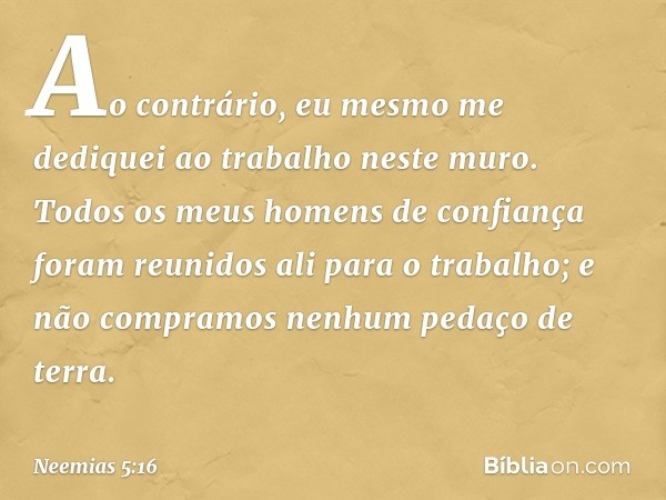 Ao contrário, eu mesmo me dediquei ao trabalho neste muro. Todos os meus homens de confiança foram reunidos ali para o trabalho; e não compra­mos nenhum pedaço 