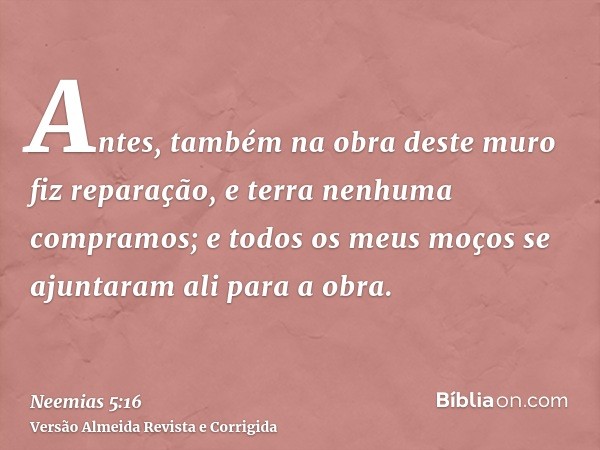 Antes, também na obra deste muro fiz reparação, e terra nenhuma compramos; e todos os meus moços se ajuntaram ali para a obra.