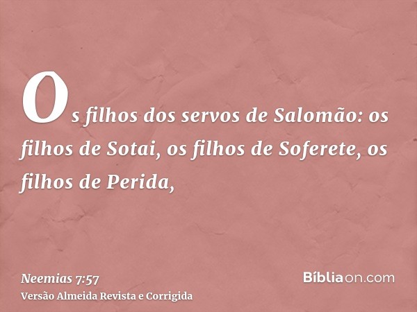 Os filhos dos servos de Salomão: os filhos de Sotai, os filhos de Soferete, os filhos de Perida,