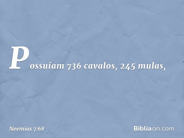 Pos­suíam 736 cavalos, 245 mulas, -- Neemias 7:68