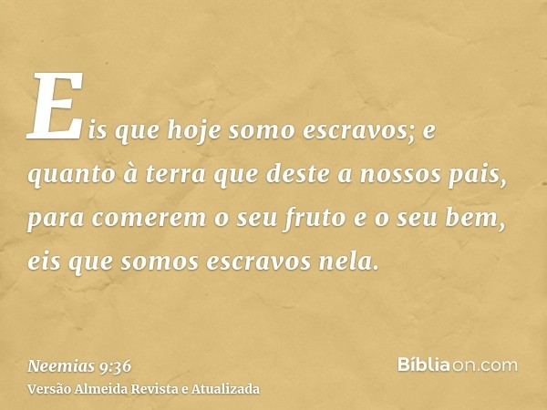 Eis que hoje somo escravos; e quanto à terra que deste a nossos pais, para comerem o seu fruto e o seu bem, eis que somos escravos nela.