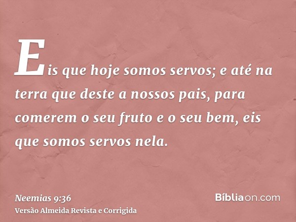 Eis que hoje somos servos; e até na terra que deste a nossos pais, para comerem o seu fruto e o seu bem, eis que somos servos nela.