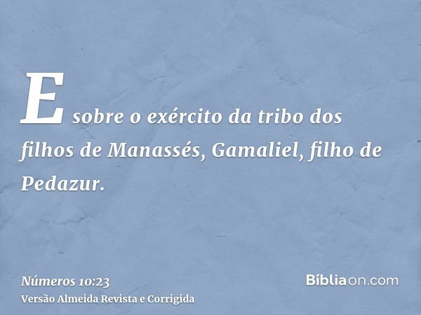 E sobre o exército da tribo dos filhos de Manassés, Gamaliel, filho de Pedazur.