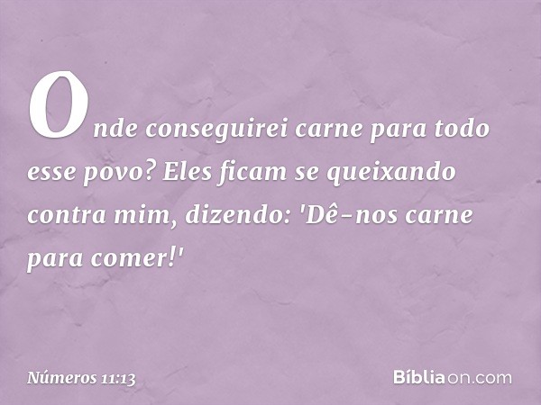 Onde conseguirei carne para todo esse povo? Eles ficam se queixando contra mim, dizendo: 'Dê-nos carne para comer!' -- Números 11:13