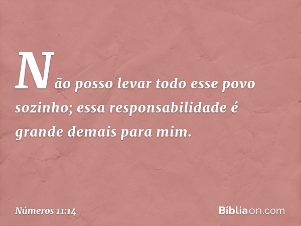 Não posso levar todo esse povo sozinho; essa responsabilidade é grande demais para mim. -- Números 11:14