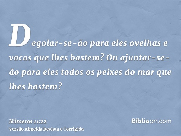 Degolar-se-ão para eles ovelhas e vacas que lhes bastem? Ou ajuntar-se-ão para eles todos os peixes do mar que lhes bastem?