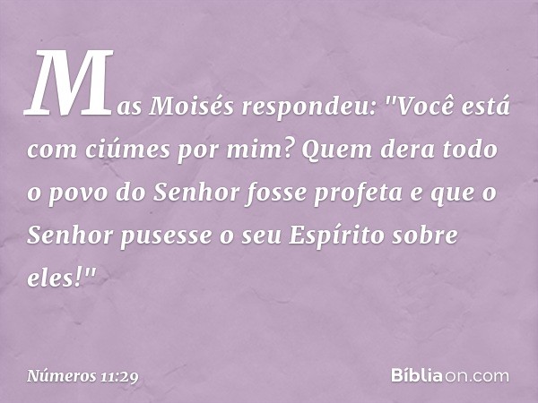 Mas Moisés respondeu: "Você está com ciúmes por mim? Quem dera todo o povo do Senhor fosse profeta e que o Senhor pusesse o seu Espírito sobre eles!" -- Números