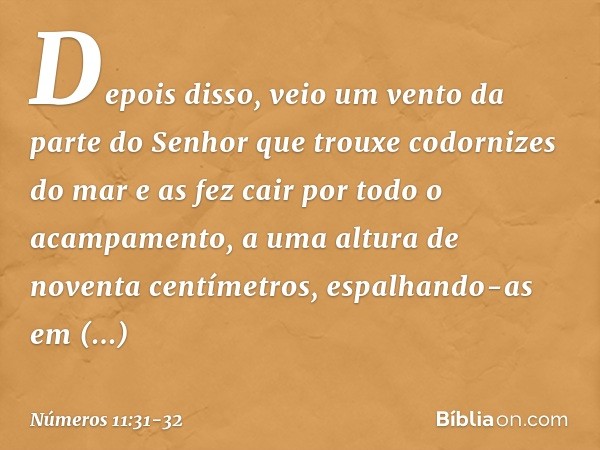 Depois disso, veio um vento da parte do Senhor que trouxe codornizes do mar e as fez cair por todo o acampamento, a uma altura de noventa centímetros, espalhand