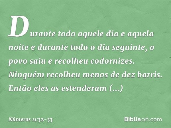 Durante todo aquele dia e aquela noite e durante todo o dia seguinte, o povo saiu e recolheu codornizes. Ninguém recolheu menos de dez barris. Então eles as est