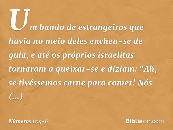 Um bando de estrangeiros que havia no meio deles encheu-se de gula, e até os próprios israelitas tornaram a queixar-se e diziam: "Ah, se tivéssemos carne para c