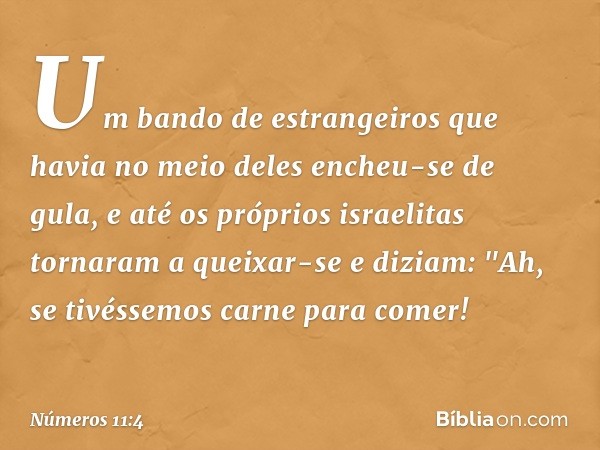 Um bando de estrangeiros que havia no meio deles encheu-se de gula, e até os próprios israelitas tornaram a queixar-se e diziam: "Ah, se tivéssemos carne para c