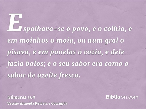 Espalhava-se o povo, e o colhia, e em moinhos o moía, ou num gral o pisava, e em panelas o cozia, e dele fazia bolos; e o seu sabor era como o sabor de azeite f