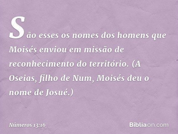 São esses os nomes dos homens que Moisés enviou em missão de reconhecimento do território. (A Oseias, filho de Num, Moisés deu o nome de Josué.) -- Números 13:1