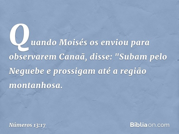 Quando Moisés os enviou para observarem Canaã, disse: "Subam pelo Neguebe e prossigam até a região montanhosa. -- Números 13:17