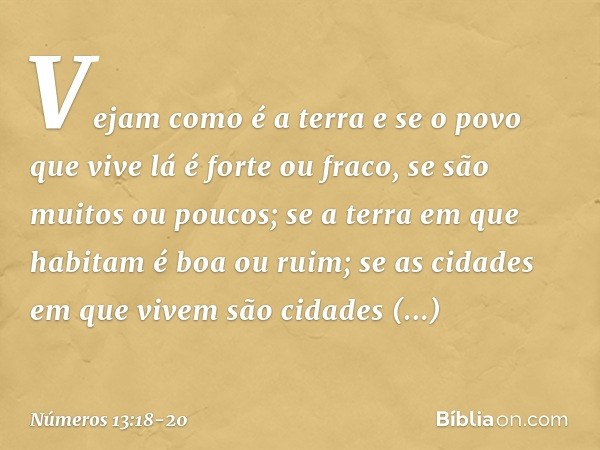 Vejam como é a terra e se o povo que vive lá é forte ou fraco, se são muitos ou poucos; se a terra em que habitam é boa ou ruim; se as cidades em que vivem são 