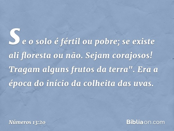 se o solo é fértil ou pobre; se existe ali floresta ou não. Sejam corajosos! Tragam alguns frutos da terra". Era a época do início da colheita das uvas. -- Núme