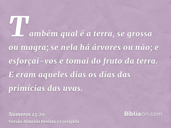 Também qual é a terra, se grossa ou magra; se nela há árvores ou não; e esforçai-vos e tomai do fruto da terra. E eram aqueles dias os dias das primícias das uv