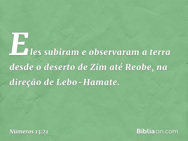 Eles subiram e observaram a terra desde o deserto de Zim até Reobe, na direção de Lebo-Hamate. -- Números 13:21