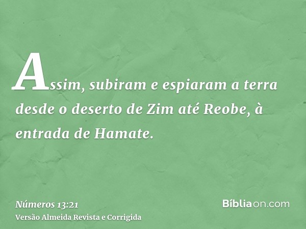 Assim, subiram e espiaram a terra desde o deserto de Zim até Reobe, à entrada de Hamate.