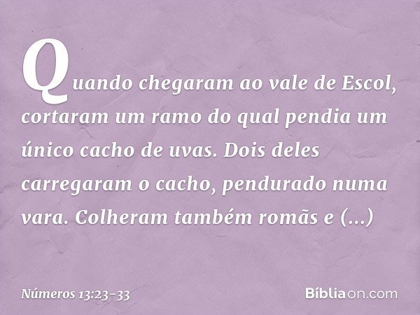 Quando chegaram ao vale de Escol, cortaram um ramo do qual pendia um único cacho de uvas. Dois deles carregaram o cacho, pendurado numa vara. Colheram também ro