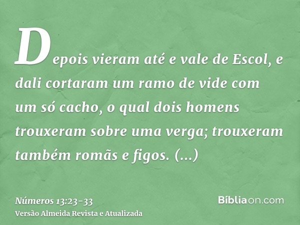 Depois vieram até e vale de Escol, e dali cortaram um ramo de vide com um só cacho, o qual dois homens trouxeram sobre uma verga; trouxeram também romãs e figos