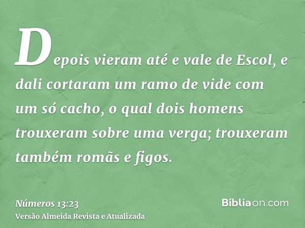 Depois vieram até e vale de Escol, e dali cortaram um ramo de vide com um só cacho, o qual dois homens trouxeram sobre uma verga; trouxeram também romãs e figos