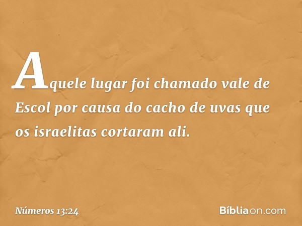 Aquele lugar foi chamado vale de Escol por causa do cacho de uvas que os israelitas cortaram ali. -- Números 13:24