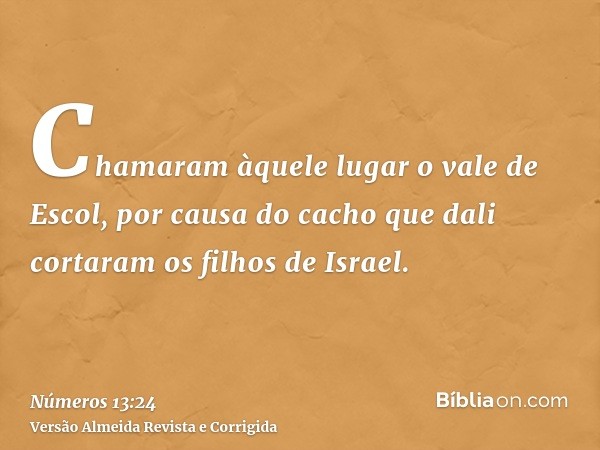 Chamaram àquele lugar o vale de Escol, por causa do cacho que dali cortaram os filhos de Israel.