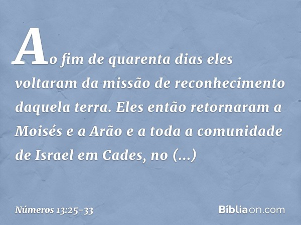 Ao fim de quarenta dias eles voltaram da missão de reconhecimento daquela terra. Eles então retornaram a Moisés e a Arão e a toda a comunidade de Israel em Cade