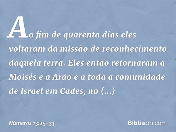 Ao fim de quarenta dias eles voltaram da missão de reconhecimento daquela terra. Eles então retornaram a Moisés e a Arão e a toda a comunidade de Israel em Cade