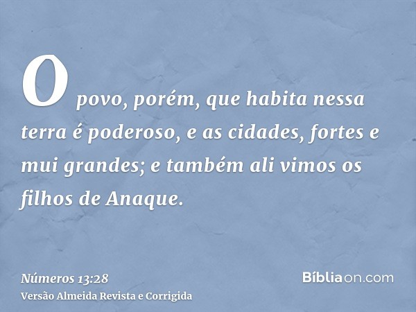 O povo, porém, que habita nessa terra é poderoso, e as cidades, fortes e mui grandes; e também ali vimos os filhos de Anaque.