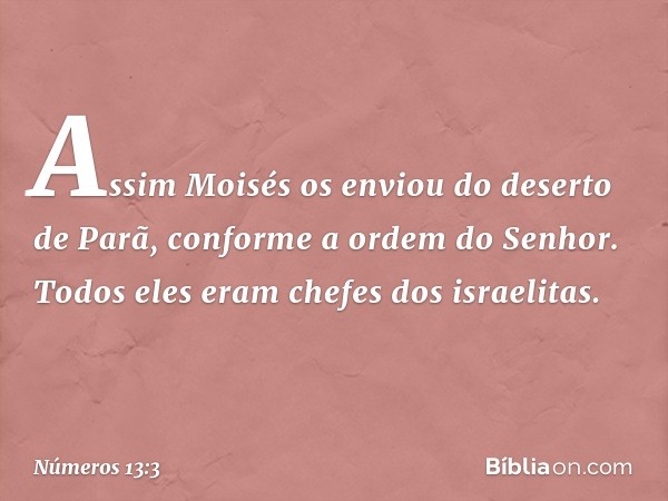 Assim Moisés os enviou do deserto de Parã, conforme a ordem do Senhor. Todos eles eram chefes dos israelitas. -- Números 13:3