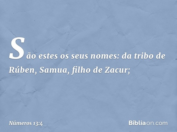 São estes os seus nomes:
da tribo de Rúben, Samua,
filho de Zacur; -- Números 13:4