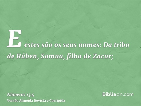 E estes são os seus nomes: Da tribo de Rúben, Samua, filho de Zacur;