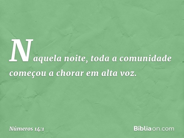 Naquela noite, toda a comunidade começou a chorar em alta voz. -- Números 14:1