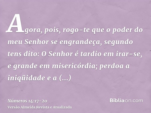 Agora, pois, rogo-te que o poder do meu Senhor se engrandeça, segundo tens dito:O Senhor é tardio em irar-se, e grande em misericórdia; perdoa a iniqüidade e a 